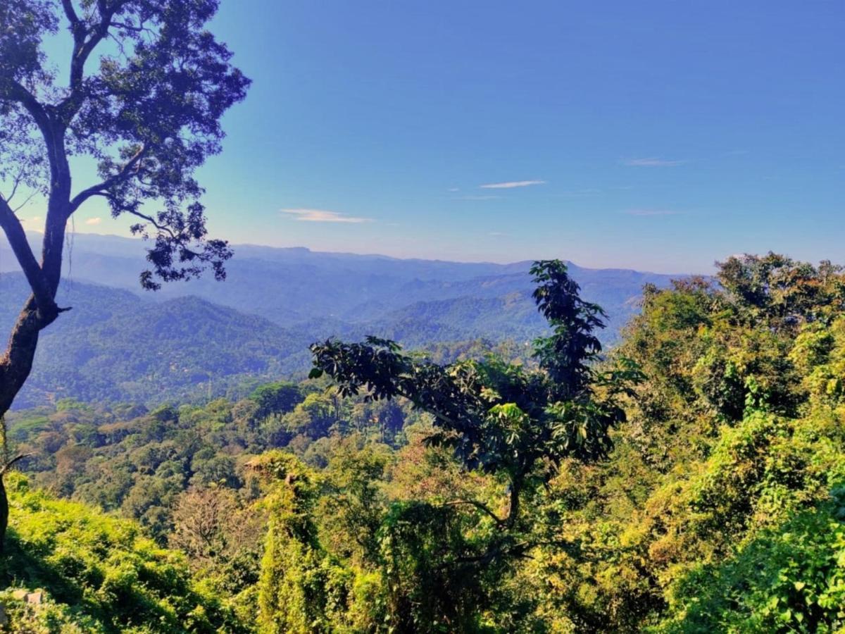 Wild Mist Homestay 蒙纳 外观 照片