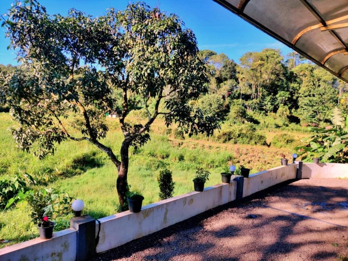 Wild Mist Homestay 蒙纳 外观 照片